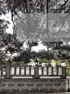 光大信用卡逾期怎么查詢(光大信用卡審核查詢)