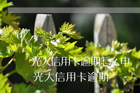 光大信用卡逾期怎么申請(qǐng)分期 光大信用卡 逾期