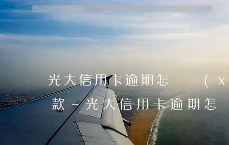 光大信用卡逾期怎樣協(xié)商分期還款-光大信用卡逾期怎樣協(xié)商分期還款的