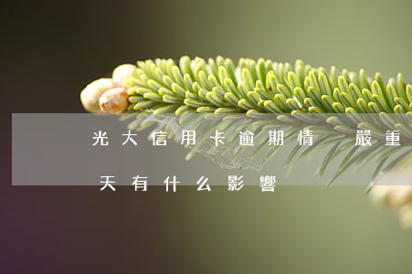 光大信用卡逾期情況嚴重(光大信用卡逾期幾天有什么影響)
