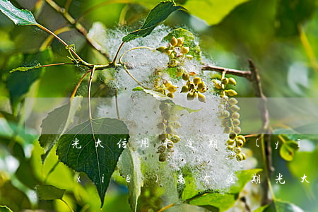 光大信用卡逾期應(yīng)該怎么協(xié)商(有逾期光大銀行申請(qǐng)信用卡能通過嗎)