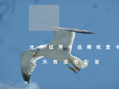 光大信用卡逾期我愛卡 光大銀行信用卡逾期一天有沒有影響?