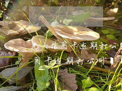 光大信用卡逾期打公司電話怎么辦-光大信用卡逾期打公司電話怎么辦理