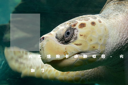 光大信用卡逾期收回-光大停发的信用卡到期了