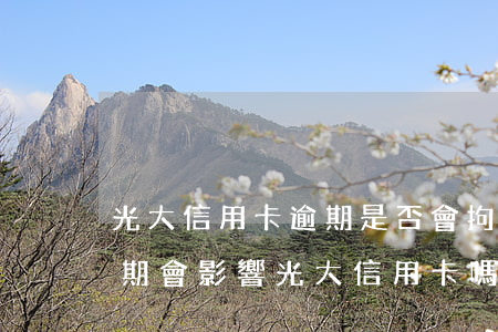 光大信用卡逾期是否會拘留(光大銀行貸款逾期,會影響光大信用卡嗎)