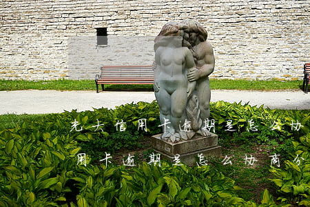 光大信用卡逾期是怎么协商分期的-光大信用卡逾期是怎么协商分期的呢