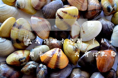 光大信用卡逾期會(huì)上訴嗎(光大信用卡逾期幾天有什么影響)