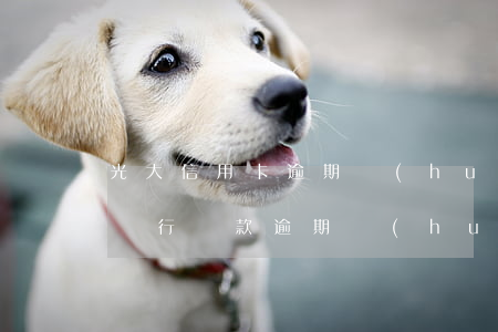光大信用卡逾期會(huì)有短信嗎(光大銀行貸款逾期,會(huì)影響光大信用卡嗎)