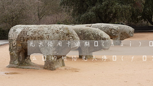 光大信用卡逾期會(huì)發(fā)什么樣的短信(光大停發(fā)的信用卡到期了)