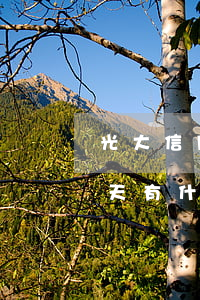光大信用卡逾期會上征信(光大信用卡逾期幾天有什么影響)