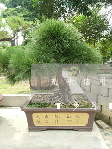 光大信用卡逾期會不會上門(光大銀行逾期一個多月會催收說上門是真的嗎)