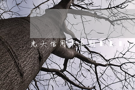 光大信用卡逾期會凍結(jié)賬戶嗎