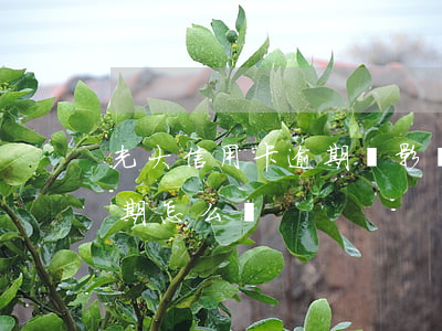 光大信用卡逾期會影響房貸(光大銀行房貸逾期怎么辦)