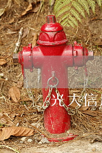 光大信用卡逾期會抓人嗎-光大信用卡 逾期