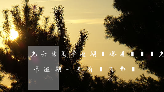 光大信用卡逾期會爆通訊錄嗎(光大銀行信用卡逾期一天有沒有影響?)