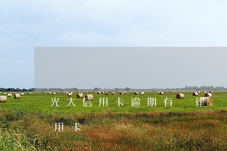 光大信用卡逾期有個律師加我-投訴光大信用卡
