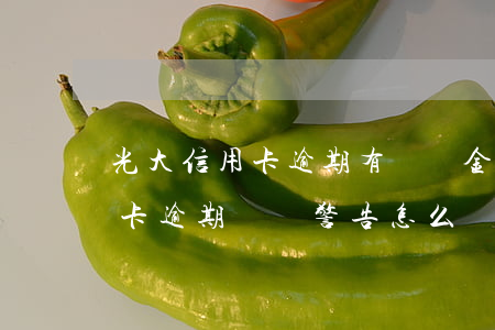 光大信用卡逾期有滯納金嗎(被光大銀行信用卡逾期終極警告怎么辦?)