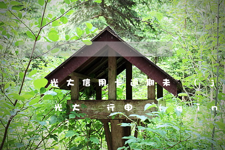 光大信用卡逾期未進(jìn)記錄(有逾期光大銀行申請(qǐng)信用卡能通過(guò)嗎)