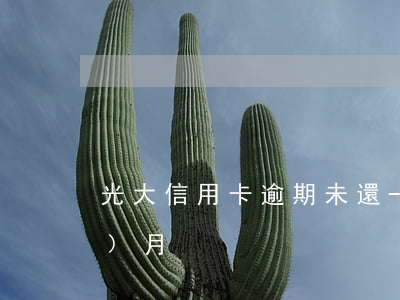 光大信用卡逾期未還-光大逾期兩個(gè)月