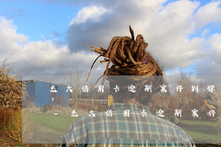 光大信用卡逾期案件到律師事務(wù)所-光大信用卡逾期案件到律師事務(wù)所可以嗎