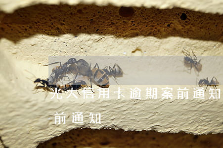 光大信用卡逾期案前通知(光大信用卡逾期案前通知)
