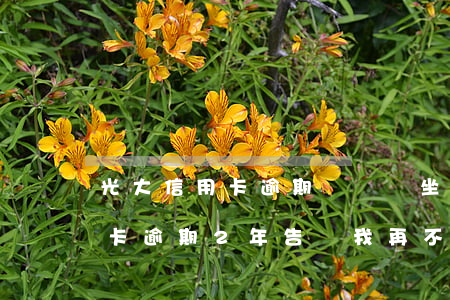 光大信用卡逾期沒還會坐牢嗎 欠了光大銀行卡,逾期2年,告訴我再不還公安局立案了