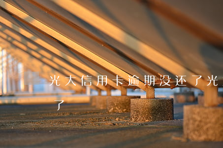 光大信用卡逾期没还了(光大信用卡逾期没还了)