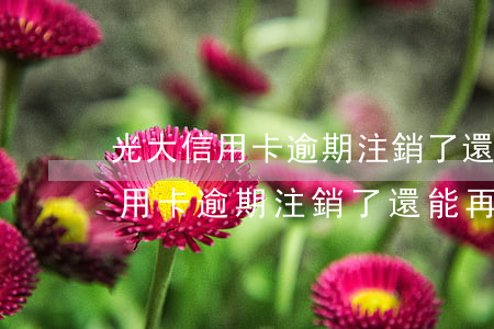 光大信用卡逾期注銷了還能再辦嗎-光大信用卡逾期注銷了還能再辦嗎