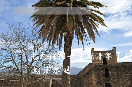 光大信用卡逾期清零了(光大信用卡积分会过期清零吗)