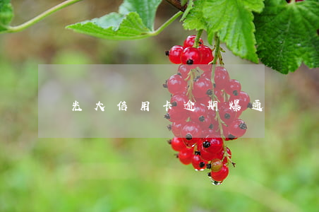 光大信用卡逾期爆通訊錄嗎(光大信用卡 逾期)