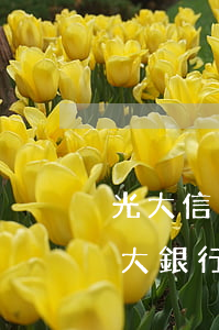 光大信用卡逾期申請(qǐng)(有逾期光大銀行申請(qǐng)信用卡能通過(guò)嗎)