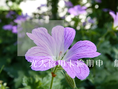 光大信用卡逾期申請解凍(光大信用卡怎么解凍)