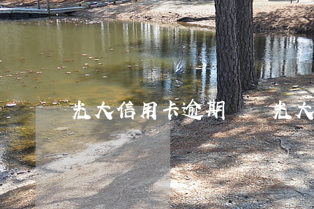 光大信用卡 逾期異議(光大逾期了)