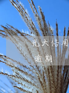光大信用卡逾期發(fā)函件(光大信用卡 逾期)