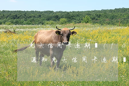 光大信用卡逾期發(fā)執(zhí)行通知(光大信用卡逾期發(fā)執(zhí)行通知)
