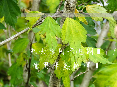 光大信用卡逾期發(fā)律師函(光大銀行信用卡委托律師)
