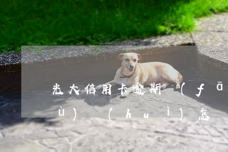 光大信用卡逾期發(fā)律師函后續(xù)會(huì)怎樣(沒用過光大信用卡收到一封欠款函該怎么辦)