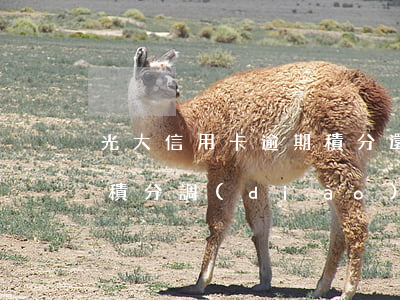 光大信用卡逾期積分還能兌換嗎(光大信用卡積分調(diào)整)