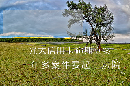 光大信用卡逾期立案訴訟(光大信用卡逾期一年多案件要起訴法院)