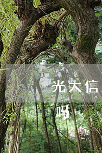 光大信用卡逾期第四天 光大逾期4天上征信吗