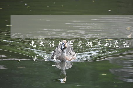 光大信用卡逾期算利息(光大信用卡超過幾天算逾期嗎)