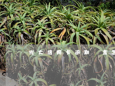 光大信用卡逾期罰金怎么算(光大信用卡 逾期)