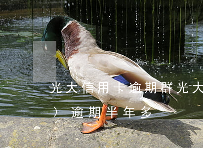 光大信用卡逾期群(光大信用卡4萬(wàn)逾期半年多)