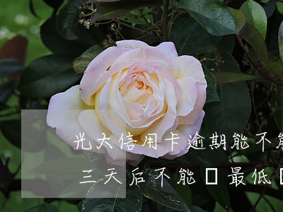 光大信用卡逾期能不能分期還(光大銀行逾期三天后不能還最低還款嗎強迫分期)