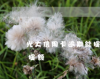 光大信用卡逾期能提额吗(光大银行信用卡不提额)