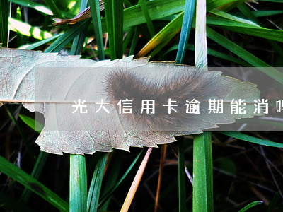 光大信用卡逾期能消吗(光大信用卡 逾期一天)