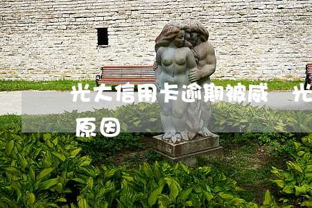 光大信用卡逾期被威脅(光大銀行信用卡被拒原因)
