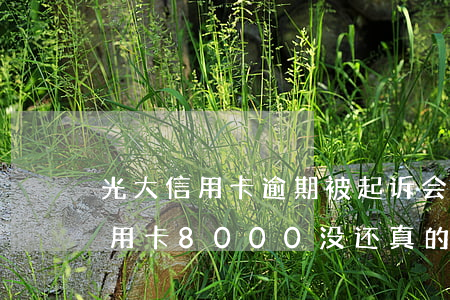 光大信用卡逾期被起诉会怎样(欠光大银行信用卡8000没还真的会起诉吗)