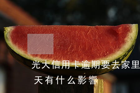 光大信用卡逾期要去家里(光大信用卡逾期幾天有什么影響)