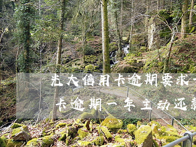 光大信用卡逾期要求一次性还款-光大银行卡逾期一年主动还款了三分之一